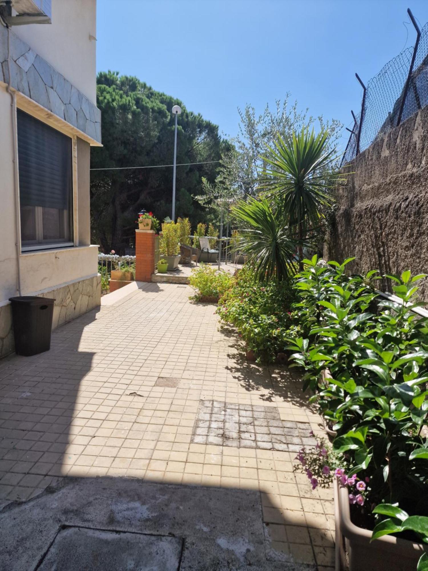 Althea Etna Garden Bed & Breakfast Nicolosi Luaran gambar
